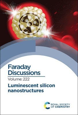 bokomslag Luminescent Silicon Nanostructures