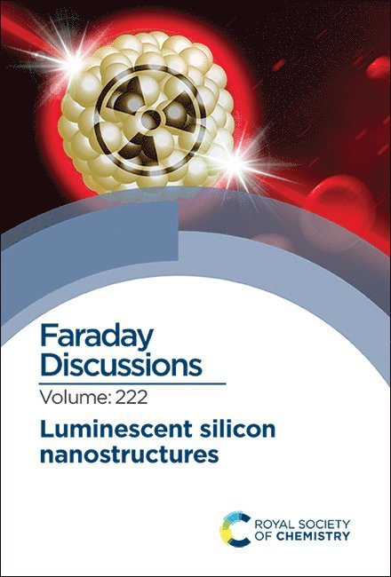 Luminescent Silicon Nanostructures 1