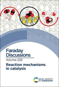 bokomslag Reaction Mechanisms in Catalysis
