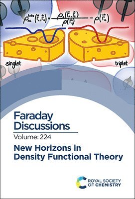 bokomslag New Horizons in Density Functional Theory