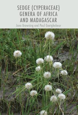 Sedge (Cyperaceae) Genera of Africa and Madagascar 1