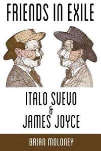 bokomslag Friends in Exile: Italo Svevo & James Joyce