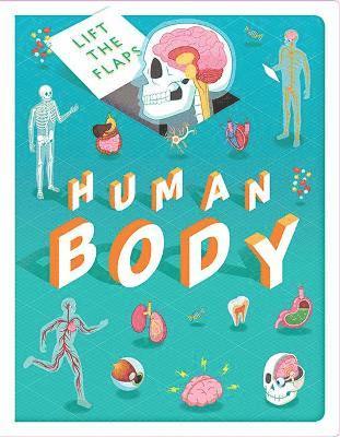 MARNIE WILLOW - Lift The Flaps: Human Body, Kartonnage