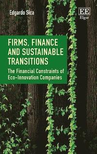 bokomslag Firms, Finance and Sustainable Transitions