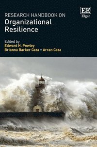 bokomslag Research Handbook on Organizational Resilience