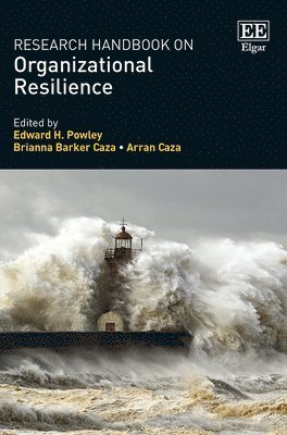 Research Handbook on Organizational Resilience 1