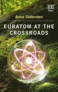 bokomslag Euratom at the Crossroads