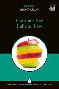 bokomslag Comparative Labour Law