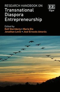 bokomslag Research Handbook on Transnational Diaspora Entrepreneurship
