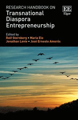 Research Handbook on Transnational Diaspora Entrepreneurship 1