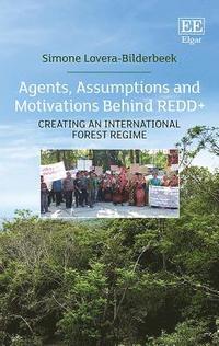 bokomslag Agents, Assumptions and Motivations Behind REDD+