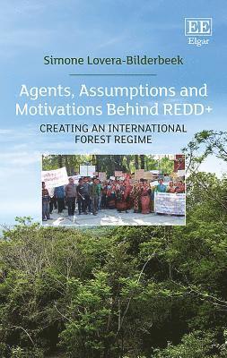 Agents, Assumptions and Motivations Behind REDD+ 1