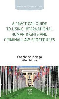 bokomslag A Practical Guide to Using International Human Rights and Criminal Law Procedures
