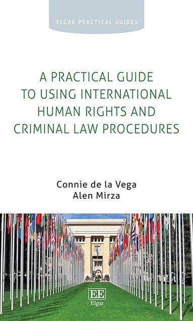 Connie de la Vega, Alen Mirza - Practical Guide to Using International Human Rights and Criminal Law Procedures, Häftad