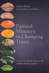 bokomslag Pastoral Ministry in Changing Times