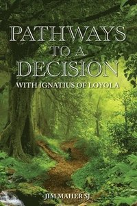 bokomslag Pathways to a Decision