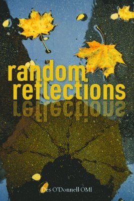 Random Reflections 1