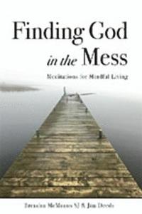 bokomslag Finding God in the Mess