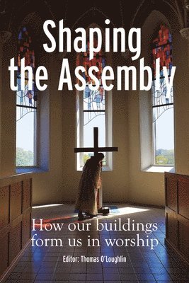 Thomas O'Loughlin - Shaping the Assembly, Häftad