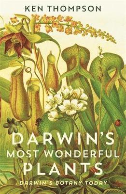 bokomslag Darwin's Most Wonderful Plants