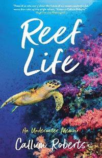 bokomslag Reef Life