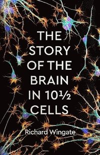 bokomslag The Story of the Brain in 10 Cells