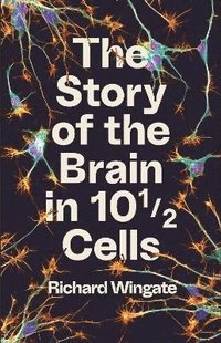 bokomslag The Story of the Brain in 10 Cells