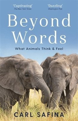 Carl Safina - Beyond Words, Häftad