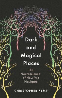 Dark and Magical Places 1