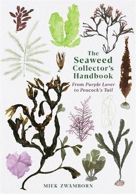 Miek Zwamborn - Seaweed Collector's Handbook, Häftad