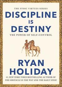 bokomslag Discipline Is Destiny