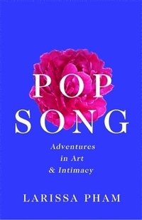 bokomslag Pop Song