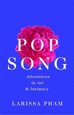 bokomslag Pop Song