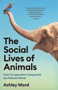 bokomslag The Social Lives of Animals