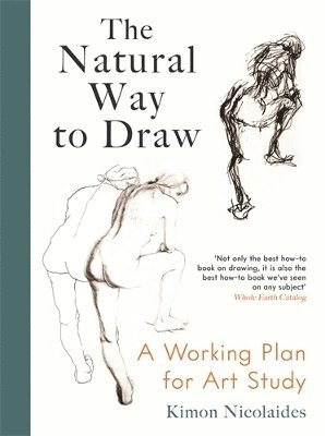 bokomslag Natural Way to Draw