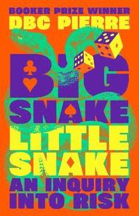 bokomslag Big Snake Little Snake