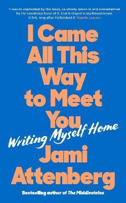 Attenberg, J: I Came All This Way to Meet You