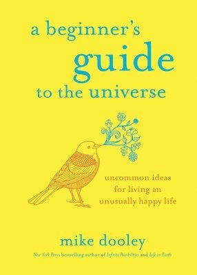 bokomslag A Beginner's Guide to the Universe