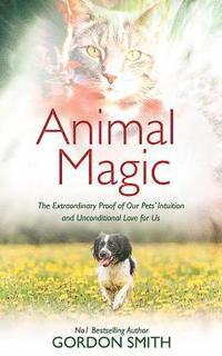 bokomslag Animal Magic