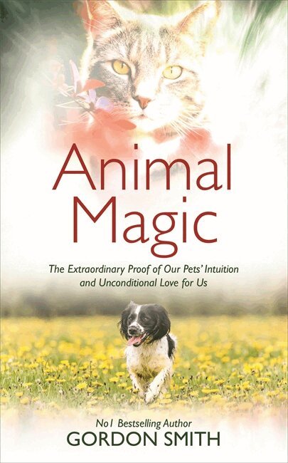 Gordon Smith - Animal Magic, Häftad