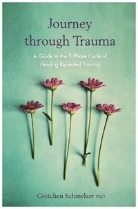 bokomslag Journey through Trauma