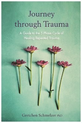 bokomslag Journey through Trauma