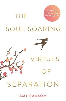 Amy Ransom - Soul-Soaring Virtues of Separation, Häftad. Tillgänglighet: Lägg i varukorg