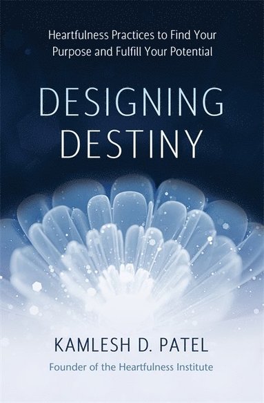 bokomslag Designing Destiny