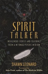 bokomslag Spirit Talker
