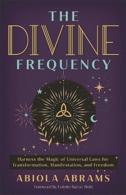 bokomslag The Divine Frequency