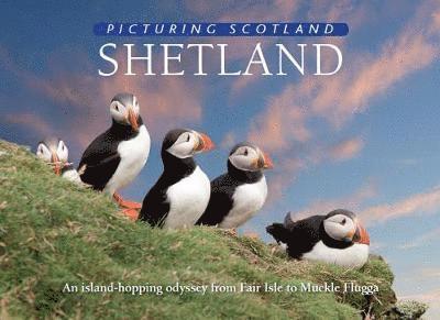Colin Nutt - Shetland: Picturing Scotland, Inbunden