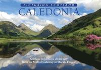 bokomslag Caledonia: Picturing Scotland