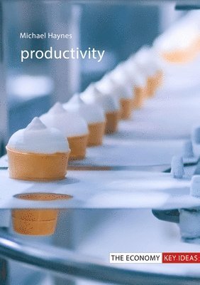 bokomslag Productivity