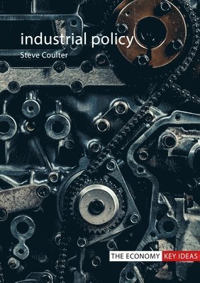 bokomslag Industrial Policy